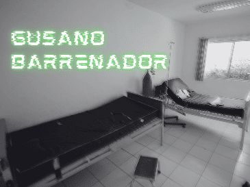 De acuerdo con el informe de casos activos de CBG de la Senasica, al corte del 27 de mayo se reportaron cuatro casos de gusano barrenador en la Ciudad de México. EL INFORMADOR/ARCHIVO