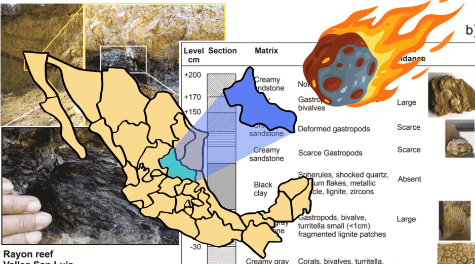 La historia de cómo se llegó a este punto es intrigante: este ambicioso proyecto científico e histórico inició formalmente en el año 2019 FACEBOOK/Universidad Autónoma de San Luis Potosí. UASLP