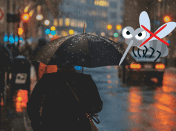 La lluvia generalmente viene acompañada de ráfagas de viento que representan otro desafío para los mosquitos. UNSPLASH / CANVA