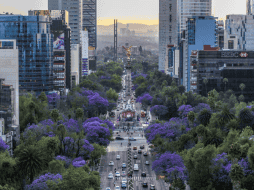Se prevé que el impacto financiero de estas obras y del torneo en sí será monumental, ya que el Mundial 2026 dejará una derrama económica de 26 mil 985 millones de pesos en la capital. Gobierno de México
