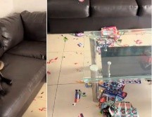 A pesar del daño, los internautas le pidieron a la dueña no ser tan cruel con su castigo. CAPTURA DE VIDEO