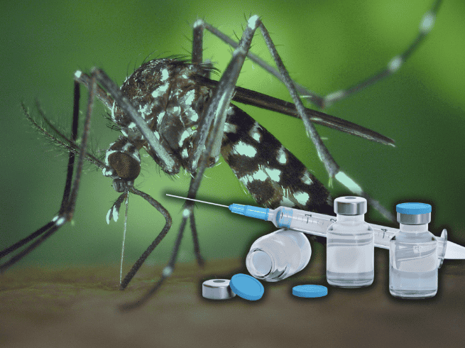 Kershenobich indicó que las autoridades sanitarias se encuentran trabajando para poder aplicar la vacuna de dengue. ESPECIAL/Canva