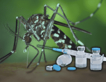 Kershenobich indicó que las autoridades sanitarias se encuentran trabajando para poder aplicar la vacuna contra el dengue. ESPECIAL/Canva