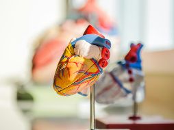 Uno de los beneficios más destacados de este ejercicio es su capacidad para contribuir al control de la presión arterial, especialmente en personas con hipertensión leve o moderada. Unsplash