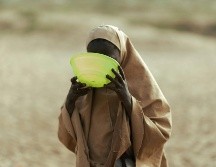 Las cifras que respaldan esta crisis son alarmantes y reflejan un deterioro acelerado de la seguridad alimentaria global, además de que ya que el sistema humanitario debe gestionar múltiples emergencias simultáneas con menos recursos. PEXELS