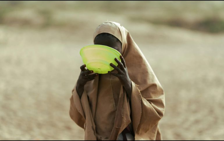 Las cifras que respaldan esta crisis son alarmantes y reflejan un deterioro acelerado de la seguridad alimentaria global, además de que ya que el sistema humanitario debe gestionar múltiples emergencias simultáneas con menos recursos. PEXELS