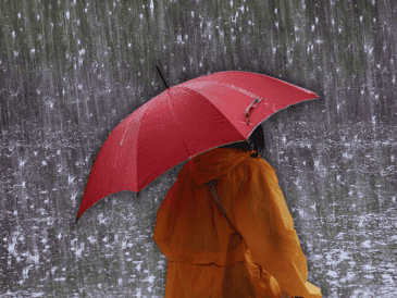 El Servicio Meteorológico Nacional confirmó que este 6 de junio de 2026 destacará por altas probabilidades de precipitaciones. ESPECIAL / CANVA
