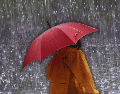 El Servicio Meteorológico Nacional confirmó que este 6 de junio de 2026 destacará por altas probabilidades de precipitaciones. ESPECIAL / CANVA