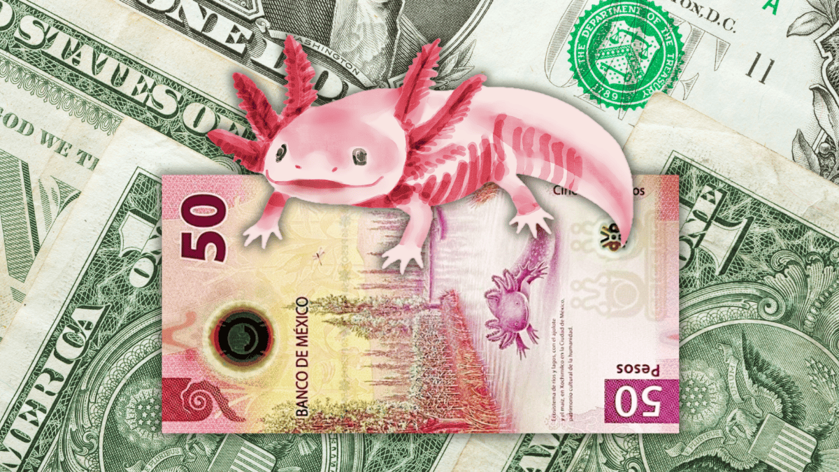 ¿Adiós al Superpeso? El dólar da un golpe y así cerró la primera semana de junio
