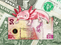 El peso mexicano cerró la jornada del viernes 5 de junio de 2026 con una depreciación significativa frente al dólar estadounidense. ESPECIAL / CANVA