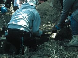 Ixtlahuacán de los Membrillos ocupa el quinto lugar a nivel estatal con mayor presencia de fosas clandestinas por detrás de Tlajomulco, Zapopan, Tlaquepaque y El Salto. SUN / ARCHIVO