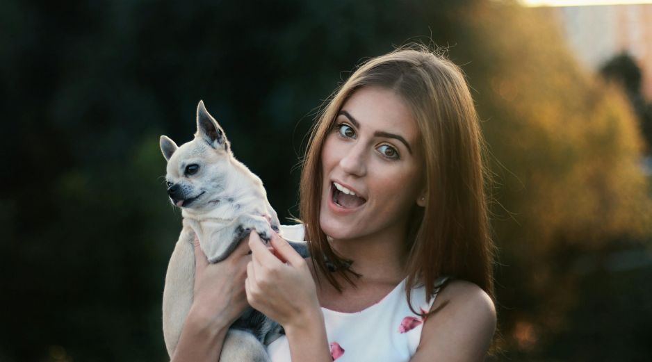 Algunos perros son la mejor compañía gracias a su temperamento y lealtad. UNSPLASH / N. KUNDRAK