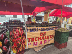 Aún hay pitaya; la Feria comienza a inicios de abril y concluye a inicios de julio. EL INFORMADOR / O. GONZALEZ
