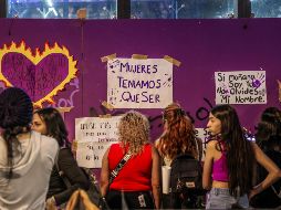 Las agresiones no solo ocurren dentro de las casas o en contextos familiares o de pareja, sino también en las calles. EL INFORMADOR/ A. Navarro