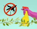 la naturaleza ofrece alternativas altamente efectivas para ahuyentar los mosquitos. UNSPLASH / JESHOOTS.COM