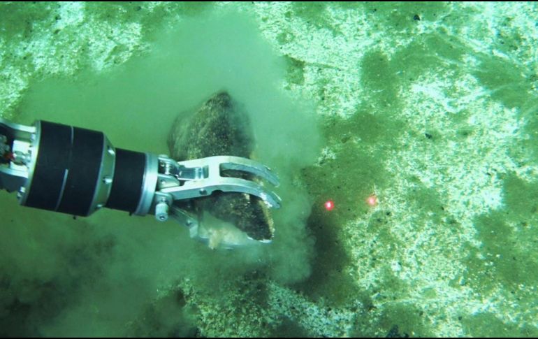 Recuperación de huesos fósiles de ballena mediante el brazo del sumergible chino Fendouzhe en las profundidades del lecho marino de la zona de Diamantina. Un enorme cementerio de ballenas descubierto en el sureste del oceano Índico es el más profundo, extenso y antiguo conocido. EFE/ Global TREnD, IDSSE