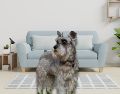 Elegir al compañero canino adecuado es importante para garantizar su bienestar, tu tranquilidad y la buena convivencia vecinal. ESPECIAL / CANVA