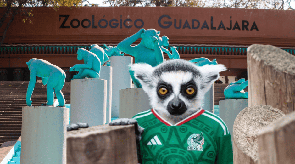 Si planeas aprovechar esta increíble promoción, te recordamos que el Zoológico Guadalajara se encuentra muy cerca de la Barranca de Huentitán. ESPECIAL/ EL INFORMADOR/ ARCHIVO/ Unsplash