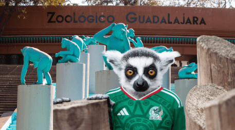 Si planeas aprovechar esta increíble promoción, te recordamos que el Zoológico Guadalajara se encuentra muy cerca de la Barranca de Huentitán. ESPECIAL/ EL INFORMADOR/ ARCHIVO/ Unsplash