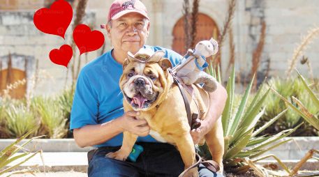 Esto se sabe sobre la relación entre la longevidad y cuidar mascotas. SUN / ARCHIVO