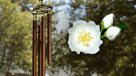 El Feng Shui ha asociado ciertas plantas con la prosperidad, la buena fortuna y el éxito económico. CANVA