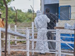 La OMS y otros operadores humanitarios en la zona temen que el virus responsable del actual brote se propague hacia zonas más urbanas o cruce fronteras con mayor intensidad. EFE/EPA/D. Dirole
