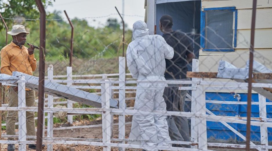 La OMS y otros operadores humanitarios en la zona temen que el virus responsable del actual brote se propague hacia zonas más urbanas o cruce fronteras con mayor intensidad. EFE/EPA/D. Dirole
