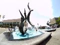 Jalisco es el único Estado con ciudades dentro del top tres nacional en competitividad. EL INFORMADOR/ARCHIVO