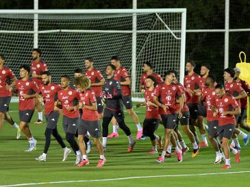 El partido entre Suecia y Túnez es parte de la primera jornada del Grupo F de la Copa del Mundo 2026. EFE/ARCHIVO