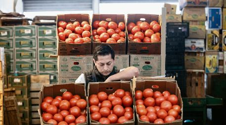 El jitomate fue uno de los productos agropecuarios que ayudó a contener la inflación en mayo. AFP