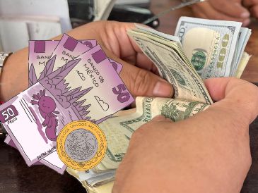 Te compartimos el precio del dólar en distintas sucursales bancarias de México y más datos sobre el comportamiento del precio de la divisa este 25 de junio. EL INFORMADOR / ARCHIVO