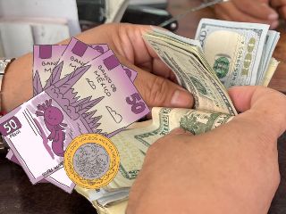 Te compartimos el precio del dólar en distintas sucursales bancarias de México y más datos sobre el comportamiento del precio de la divisa este 7 de julio. EL INFORMADOR / ARCHIVO