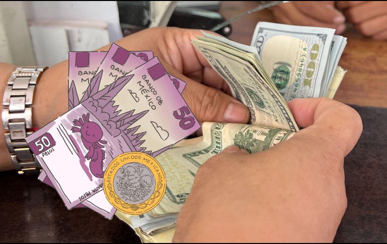 Te compartimos el precio del dólar en distintas sucursales bancarias de México y más datos sobre el comportamiento del precio de la divisa. EL INFORMADOR / ARCHIVO