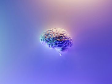 Esta combinación logra que la comunicación sea más precisa y permite que el implante sea "capaz de escuchar y hablar" al cerebro a la vez sin alterar los registros. Unsplash