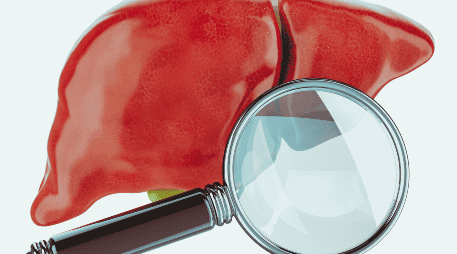 La investigación sobre el hígado fue publicado en la revista Science Advances. ESPECIAL/Canva