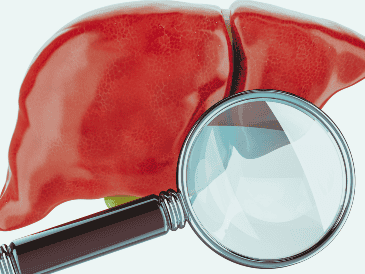 La investigación sobre el hígado fue publicado en la revista Science Advances. ESPECIAL/Canva