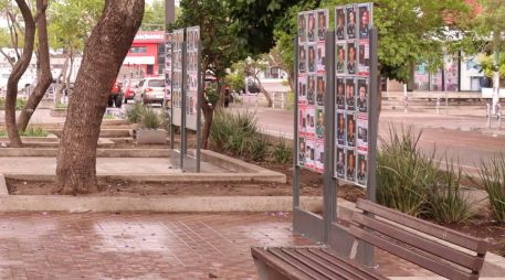 Guadalajara instaló las primeras 20 mamparas para que colectivos de búsqueda difundan cédulas de personas desaparecidas en espacios públicos. CORTESÍA/ Ayuntamiento de Guadalajara.