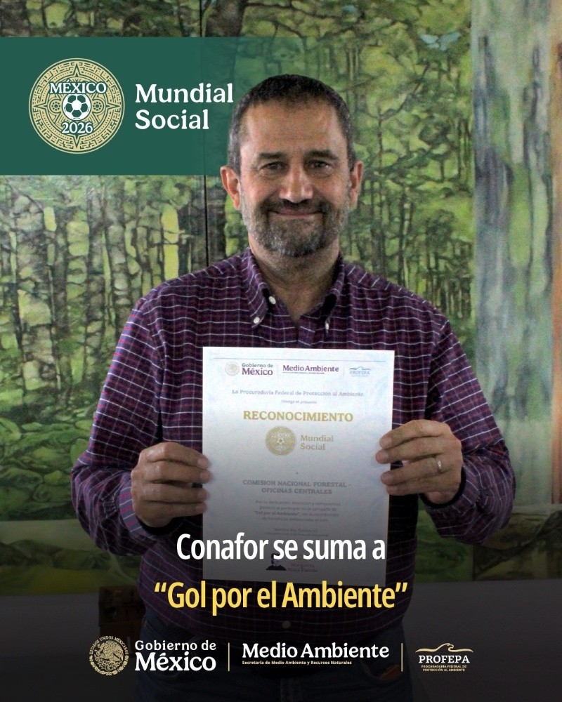 CONAFOR&nbsp;