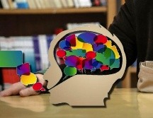 Esta es la forma en la que el cerebro procesa varios lenguajes a la vez. SUN / ARCHIVO