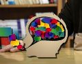 Esta es la forma en la que el cerebro procesa varios lenguajes a la vez. SUN / ARCHIVO