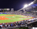 Este jueves se buscará romper Récord Guinness en el Estadio Panamericano Charros de Jalisco. CHARROS DE JALISCO