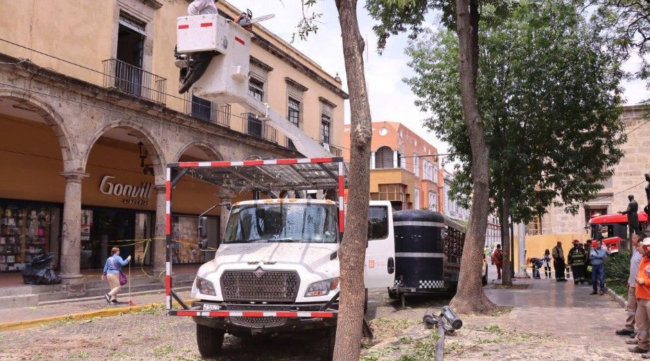 Entre las acciones realizadas destacan la limpieza de bocas de tormenta, saneamiento general, recolección de residuos, retiro de escombro, cacharros, llantas y muebles. CORTESÍA.