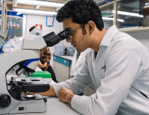 El grupo de este año investigará una variedad de temas relacionados a la biomedicina. CANVA