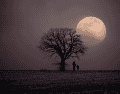 La Luna de Fresa es un recordatorio de cómo la observación del cielo ha acompañado a la humanidad durante miles de años. CANVA