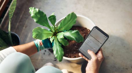 Reiniciar tu celular cada semana te tomará menos de dos minutos y te ahorrará dolores de cabeza a largo plazo. UNSPLASH / MICROSOFT COPILOT