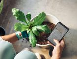 Reiniciar tu celular cada semana te tomará menos de dos minutos y te ahorrará dolores de cabeza a largo plazo. UNSPLASH / MICROSOFT COPILOT