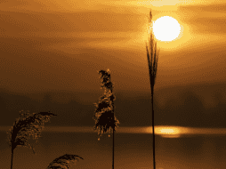 Desde una perspectiva científica, el solsticio de verano ocurre en el instante exacto en que el Polo Norte de la Tierra alcanza su máxima inclinación hacia el Sol. CANVA