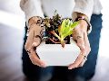 Si notas extrañas pelusas blancas en los tallos u hojas de tus plantas, estás ante una advertencia biológica urgente. ESPECIAL/PIXABAY