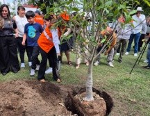 La alcaldesa de Guadalajara, Verónica Delgadillo, señaló que estas plantaciones de árboles podrían aumentar la capacidad de infiltración de agua a zonas verdes. EL INFORMADOR/M. Hernández