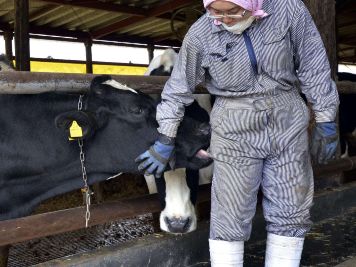 Gusano barrenador avanza en México y agrava pérdidas para el sector ganadero